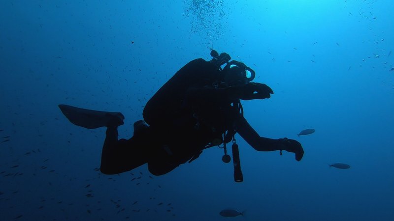 BENEATH THE SEA II | MALTA